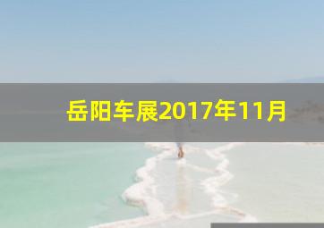 岳阳车展2017年11月