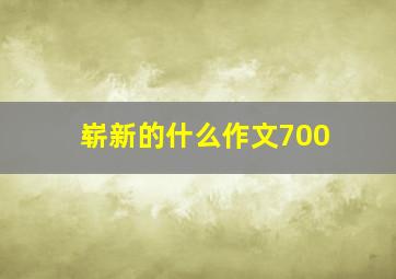 崭新的什么作文700