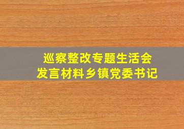 巡察整改专题生活会发言材料乡镇党委书记