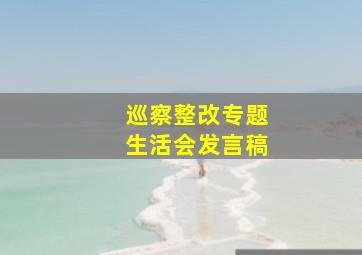 巡察整改专题生活会发言稿