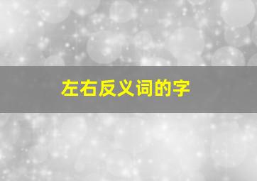 左右反义词的字