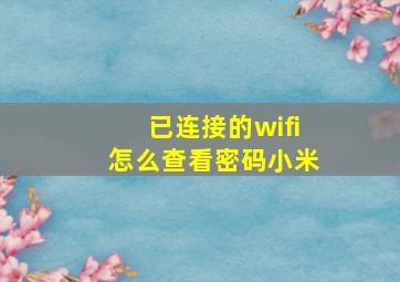 已连接的wifi怎么查看密码小米