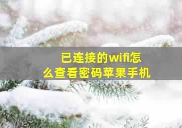 已连接的wifi怎么查看密码苹果手机