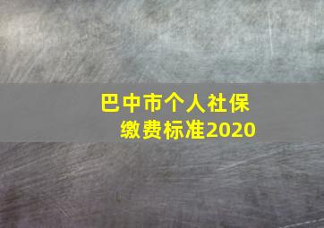 巴中市个人社保缴费标准2020