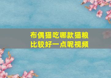 布偶猫吃哪款猫粮比较好一点呢视频