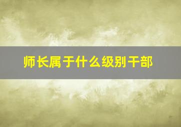 师长属于什么级别干部