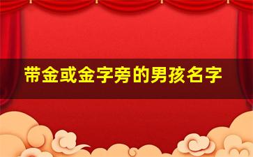 带金或金字旁的男孩名字