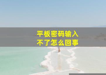 平板密码输入不了怎么回事