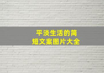 平淡生活的简短文案图片大全