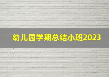 幼儿园学期总结小班2023