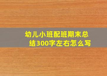 幼儿小班配班期末总结300字左右怎么写