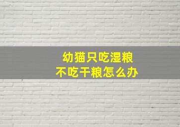 幼猫只吃湿粮不吃干粮怎么办