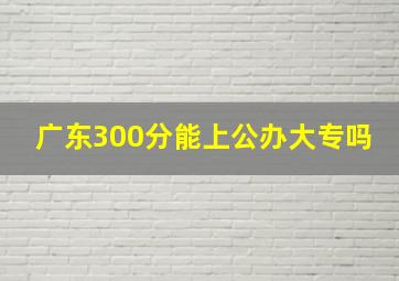 广东300分能上公办大专吗