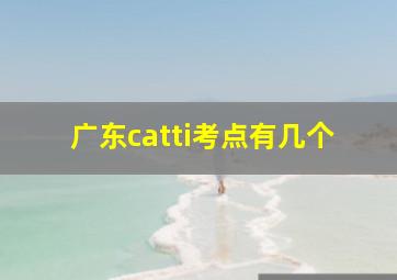 广东catti考点有几个