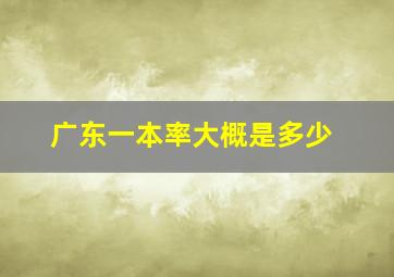 广东一本率大概是多少