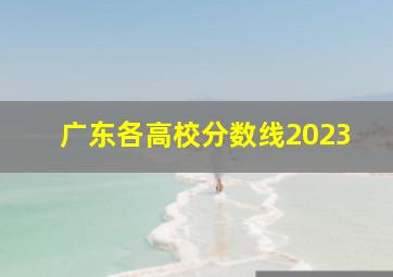 广东各高校分数线2023