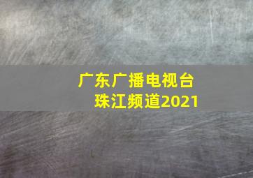 广东广播电视台珠江频道2021