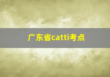 广东省catti考点