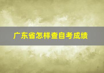 广东省怎样查自考成绩