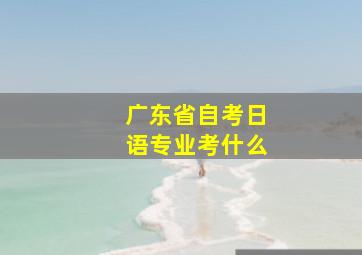 广东省自考日语专业考什么