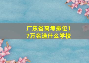 广东省高考排位17万名选什么学校