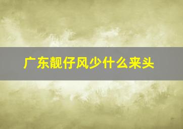 广东靓仔风少什么来头