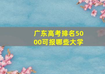 广东高考排名5000可报哪些大学