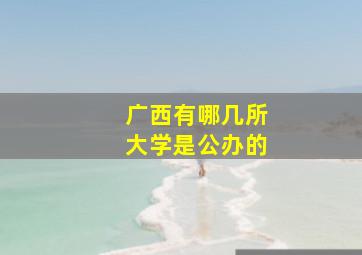 广西有哪几所大学是公办的