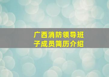 广西消防领导班子成员简历介绍