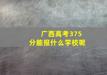 广西高考375分能报什么学校呢