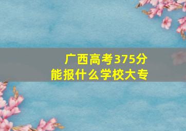 广西高考375分能报什么学校大专