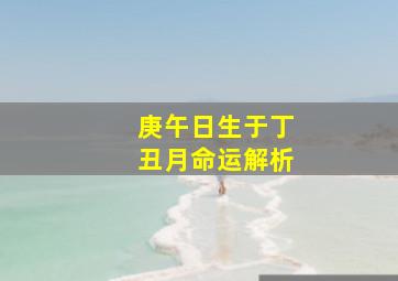 庚午日生于丁丑月命运解析