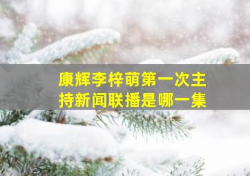 康辉李梓萌第一次主持新闻联播是哪一集