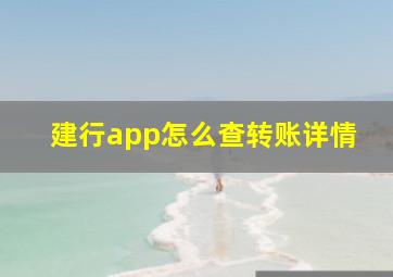 建行app怎么查转账详情