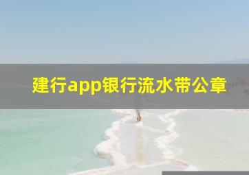 建行app银行流水带公章