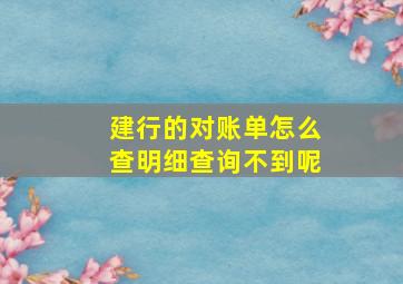 建行的对账单怎么查明细查询不到呢