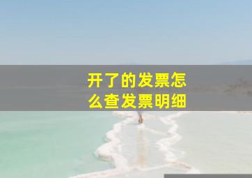 开了的发票怎么查发票明细