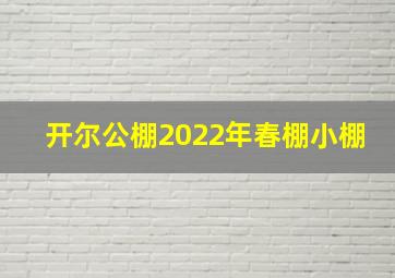 开尔公棚2022年春棚小棚