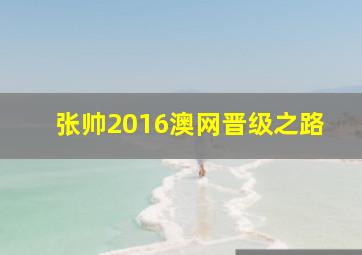 张帅2016澳网晋级之路