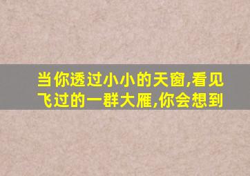 当你透过小小的天窗,看见飞过的一群大雁,你会想到