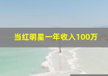 当红明星一年收入100万