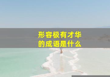 形容极有才华的成语是什么