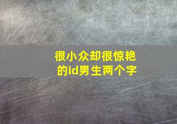 很小众却很惊艳的id男生两个字