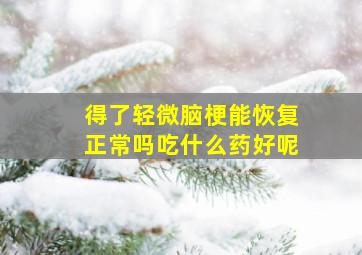 得了轻微脑梗能恢复正常吗吃什么药好呢