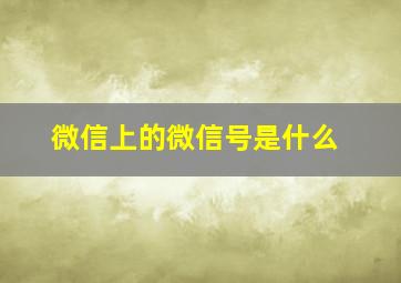 微信上的微信号是什么