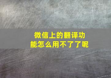 微信上的翻译功能怎么用不了了呢