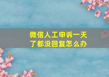 微信人工申诉一天了都没回复怎么办