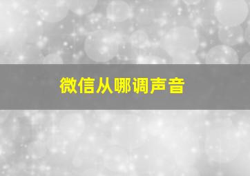 微信从哪调声音