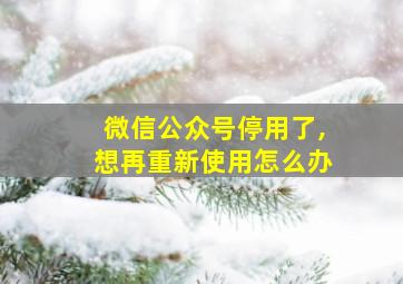 微信公众号停用了,想再重新使用怎么办