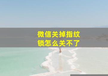 微信关掉指纹锁怎么关不了